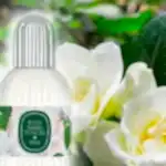 Turkish Cologne (Kolonya) Gardenia Flower Scented - Eyüp Sabri Tuncer