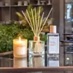 Turkish Mandarine Scented Bamboo Stick Air Freshener - Atelier Rebul