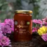 Turkish Natural Organic Cedar Honey - EÄricayÄ±r