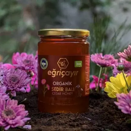Turkish Natural Organic Cedar Honey - EÄricayÄ±r