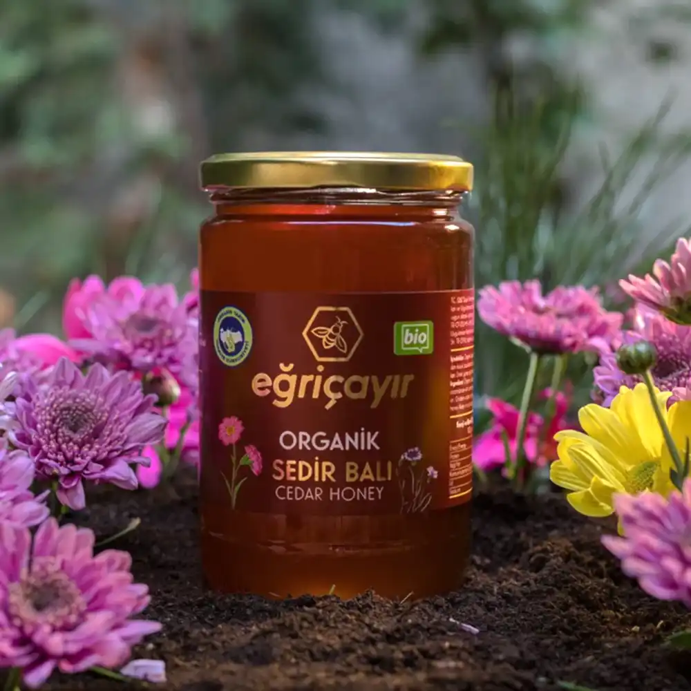 Turkish Natural Organic Cedar Honey - EÄricayÄ±r