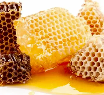 Turkish Natural Organic Karakovan Honeycombs Honey - EÄricayÄ±r