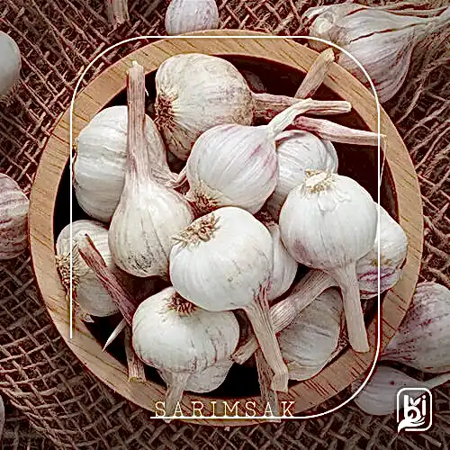 Turkish Natural Garlic