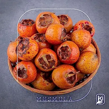 Turkish Natural Medlar