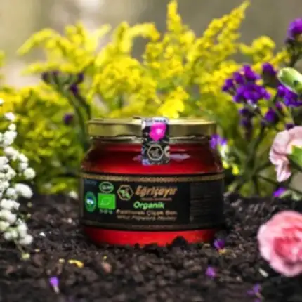 Turkish Natural Organic Flower Honey with Polyflora (Multi Flowered) - EgricayÄ±r