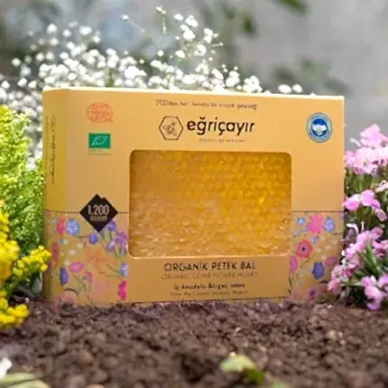 Turkish Natural Organic Honeycombs Honey - EÄricayÄ±r