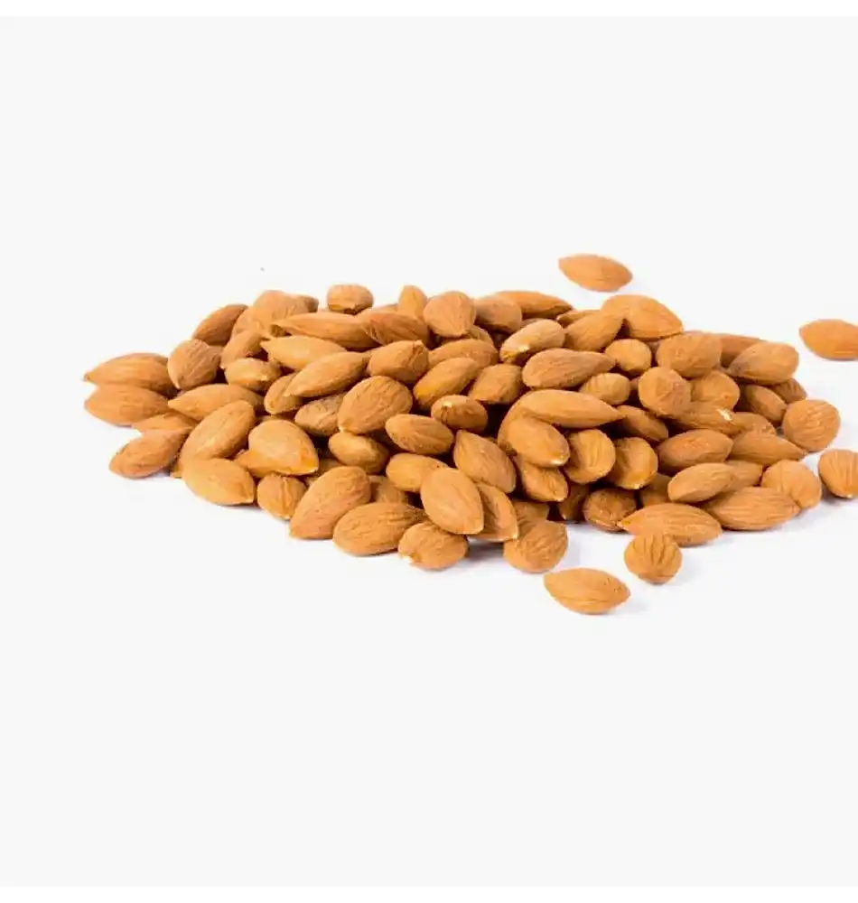 Turkish Apricot Kernels