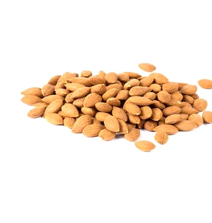 Turkish Apricot Kernels